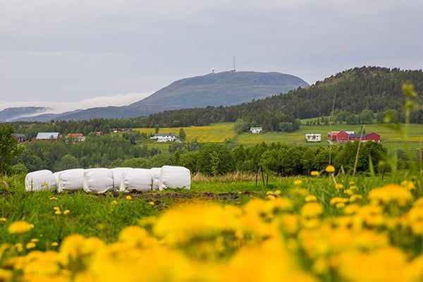 jorde med høyballer og gård i bakgrunn